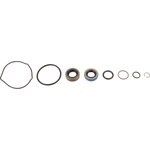 Sweet - 321-81010 - Seal Kit Sprint Car Pump