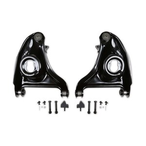 REKUDO - RK100-21L - 70-81 F-Body Lower Control Arms