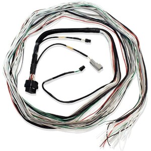FuelTech - 2001004003 - FT600 Harness 20ft