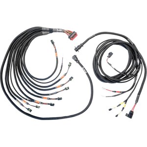 FuelTech - 3026100077 - PRO600 Ford V8 Complete Harness