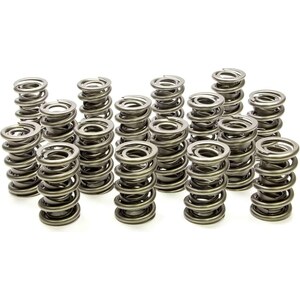 Valve Springs