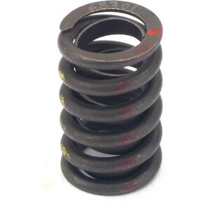 Valve Springs