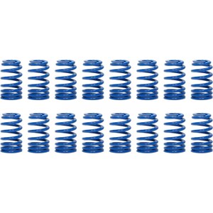 PAC Racing - PAC-1280X-16 - 1.282 Valve Springs - Ovate Beehive (16)