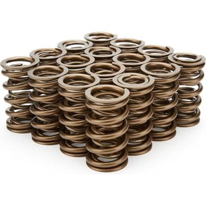 PAC Racing - PAC-1371-16 - 1.374 Dual Valve Springs - (16)