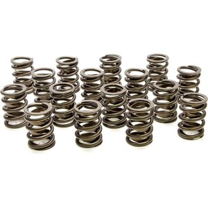 PAC Racing - PAC-1900-16 - Valve Springs - HR Series (16)