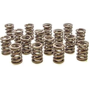 PAC Racing - PAC-1905-16 - Valve Springs - HR Series (16)