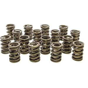 PAC Racing - PAC-1924-16 - Valve Springs - HR Series (16)