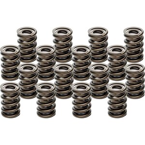 PAC Racing - PAC-1940-16 - Valve Springs - HR Series (16)  1.555 Dual