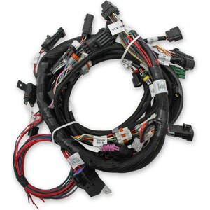 Holley - 558-110 - Main Harness - FORD Racing 5.0L Coyote TI-VCT