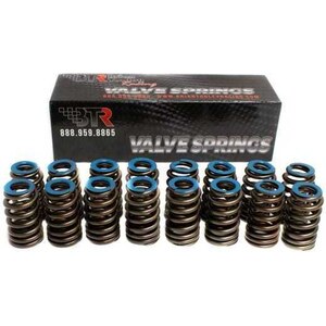 Brian Tooley Racing - BTR91120-16 - GEN 5 Beehive Springs - .550 Lift (16)