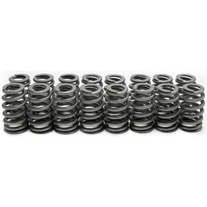 Brian Tooley Racing - SP011-16 - LS6 Beehive Springs .560 Lift (16)