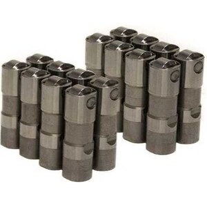 Brian Tooley Racing - X12499225-16 - Delphi LS7 Lifters - (16)
