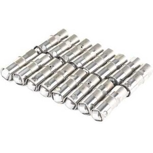 Brian Tooley Racing - X17120735-16 - Gen V Delphi Lifters - (16)