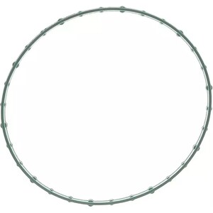 Throttle Body Gaskets