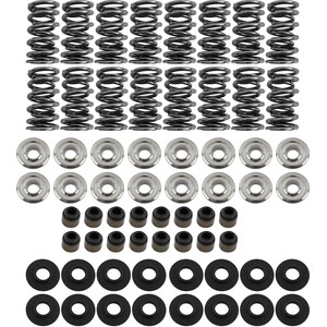Brian Tooley Racing - SK001/S/0560/BB - Platinum Dual Spring LS Kit Steel Retainer
