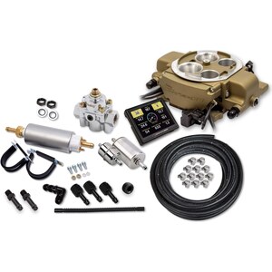 Fuel Injection Systems and Components - Electronic