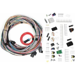 Engine Wiring Harnesses