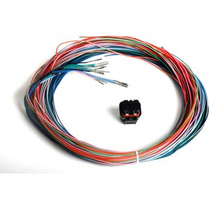 Holley - 558-402 - J2B Auxiliary Harness Kit