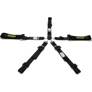 Sfi 16.1 harness Sfi 16.1 5 - 6 - 7 Seat Belts