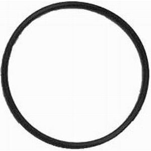 RPC - R9243 - Replacement O-Ring For Chevy Water Neck (2)