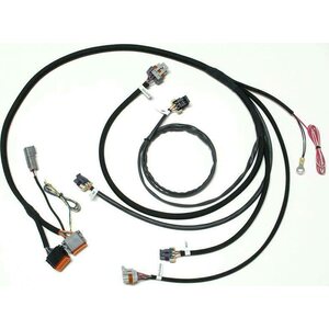 Daytona Sensors - 119005 - SmartSpark LS2/LS7 Remote Mnt Wire Harness