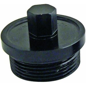 Winters - 5290-01 - Inspection Plug Large 9/16 Hex