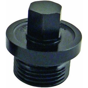 Winters - 6857-01 - Inspection Plug Small 9/16 Hex