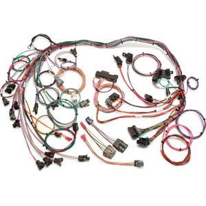 Painless Wiring - 60102 - Tpi Harness 85-89