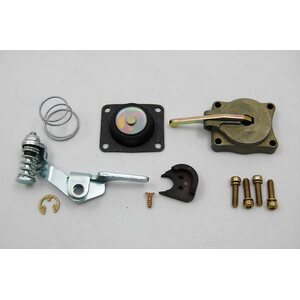 AED - 5565 - 50cc Accelerator Pump Kit