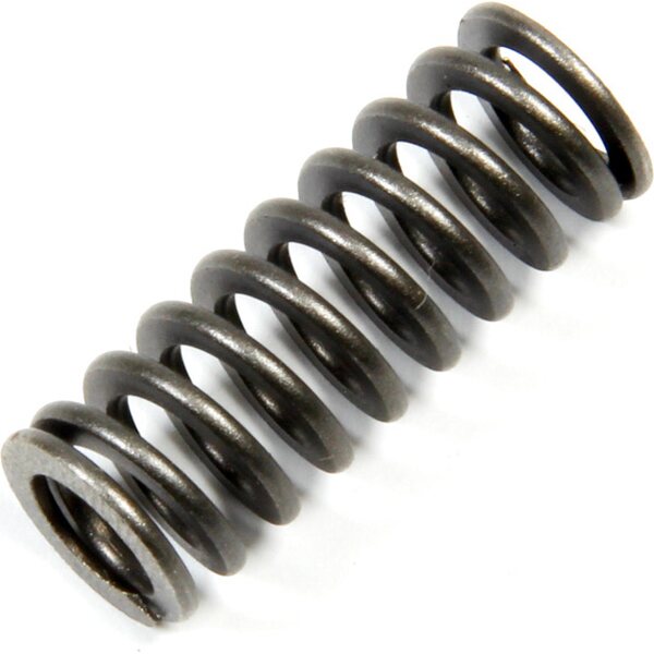 Bert Transmissions - SG-1078 - Piston Return Spring