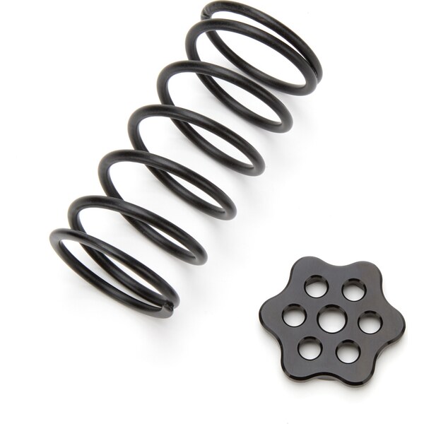 Ti22 Performance - TIP4220 - Master Cyinder Return Spring Black Steel Kit