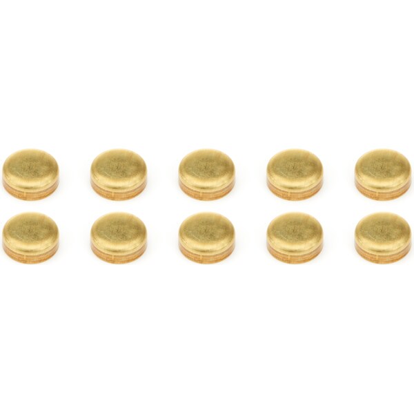 Pioneer - EPC-80-B-10 - Expansion Plugs 10pk - Brass 1-3/8 Dia