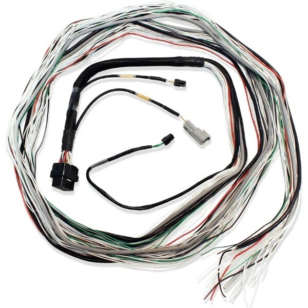FuelTech - 2001004003 - FT600 Harness 20ft