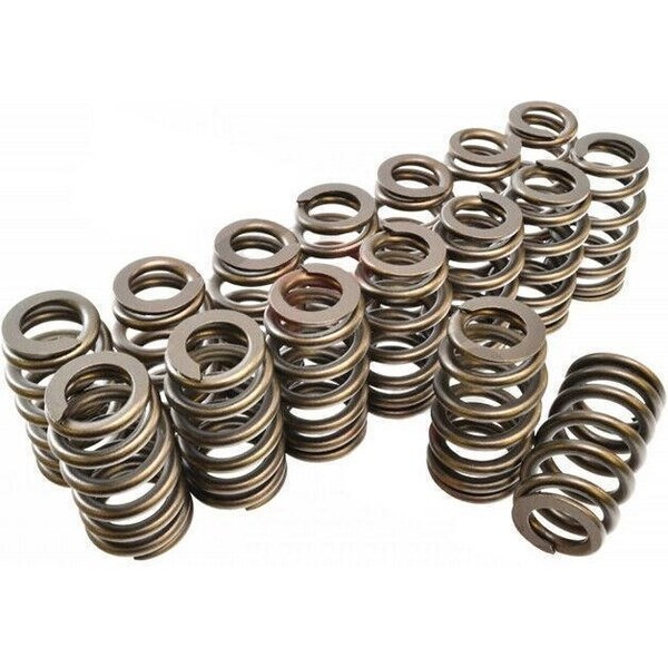 PAC Racing - PAC-1219-16 - 1.307 Valve Springs - Ovate Beehive (16)