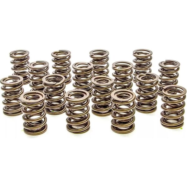 PAC Racing - PAC-1908-16 - Valve Springs - HR Series (16)