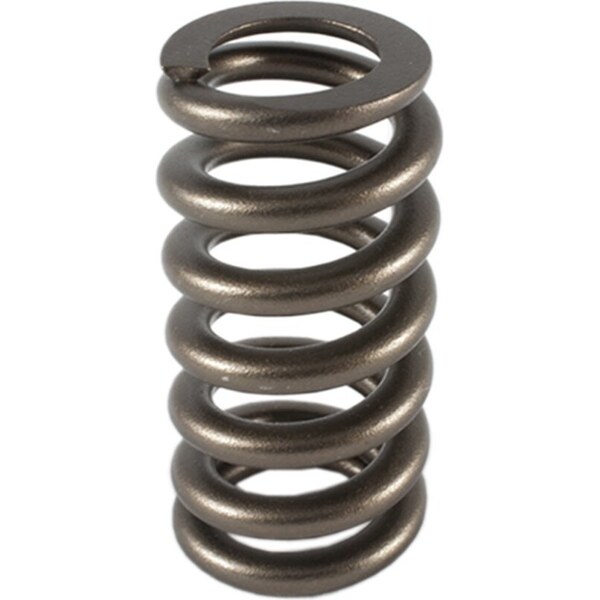 PAC Racing - PAC-1219 - 1.307 Valve Springs - Ovate Beehive (1)