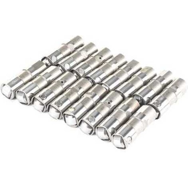 Brian Tooley Racing - X17120735-16 - Gen V Delphi Lifters - (16)