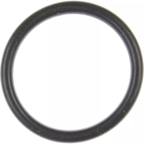 Clevite M77 - G32944 - EFI Throttle Body O-Ring 05-10 Hemi 6.1L