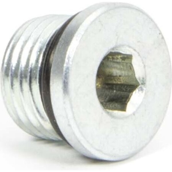 Winters - 67874S - Port Plug  #6 AN
