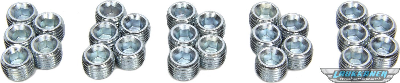 Pioneer 1/4 NPT Allen Pipe Plugs (25pk)